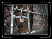 IMG_8670 * 850 x 608 * (227KB)