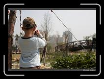 IMG_8795 * 850 x 608 * (236KB)