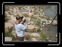 IMG_8797 * 850 x 608 * (250KB)