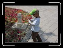 IMG_8814 * 850 x 608 * (243KB)