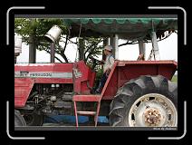 IMG_8843 * 850 x 608 * (249KB)