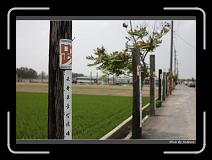 IMG_8857 * 850 x 608 * (226KB)