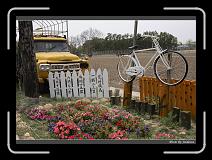 IMG_8931 * 850 x 608 * (242KB)