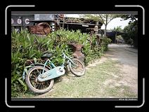 IMG_8947 * 850 x 608 * (244KB)