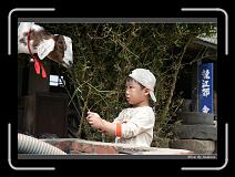 IMG_9002 * 850 x 608 * (250KB)