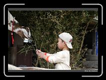 IMG_9007 * 850 x 608 * (243KB)