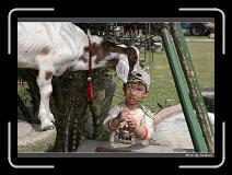 IMG_9011 * 850 x 608 * (235KB)