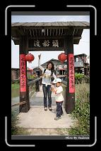 IMG_9019 * 566 x 910 * (248KB)