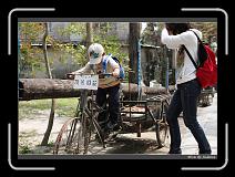 IMG_9053 * 850 x 608 * (243KB)