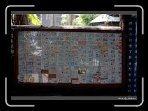 IMG_9073 * 850 x 608 * (244KB)