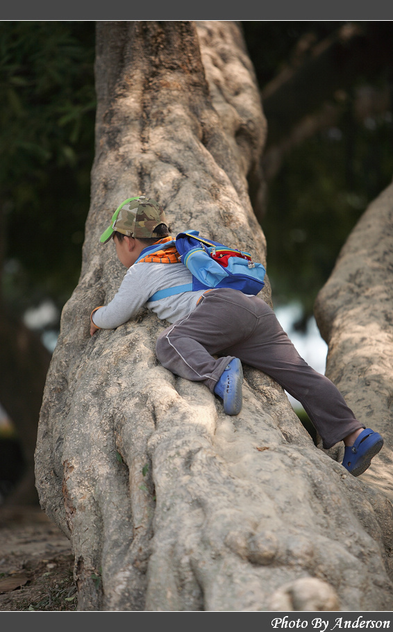 下一張幻燈片