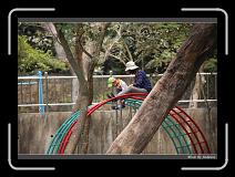 IMG_9147 * 850 x 608 * (242KB)