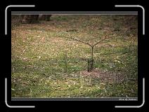 IMG_9162 * 850 x 608 * (246KB)