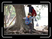 IMG_9171 * 850 x 608 * (244KB)