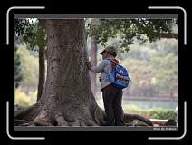 IMG_9172 * 850 x 608 * (248KB)