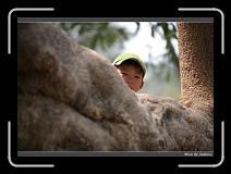 IMG_9179 * 850 x 608 * (243KB)