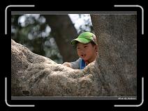 IMG_9187 * 850 x 608 * (250KB)