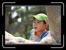IMG_9200 * 850 x 608 * (244KB)