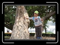 IMG_9205 * 850 x 608 * (238KB)