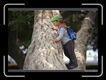 IMG_9207 * 850 x 608 * (235KB)
