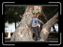 IMG_9214 * 850 x 608 * (243KB)