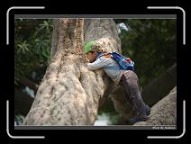 IMG_9217 * 850 x 608 * (237KB)