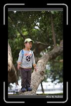 IMG_9220 * 566 x 910 * (219KB)