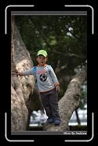 IMG_9221 * 566 x 910 * (225KB)