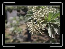 IMG_9290 * 850 x 608 * (244KB)