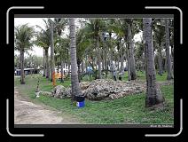 IMG_9360 * 850 x 608 * (249KB)