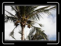 IMG_9365 * 850 x 608 * (249KB)