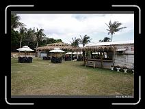 IMG_9385 * 850 x 608 * (240KB)