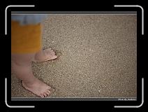 IMG_9402 * 850 x 608 * (250KB)