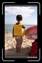 IMG_9442 * 566 x 910 * (232KB)