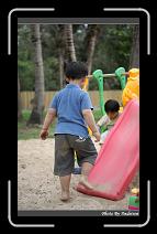 IMG_9451 * 566 x 910 * (249KB)