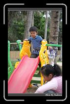 IMG_9453 * 566 x 910 * (243KB)