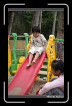 IMG_9456 * 566 x 910 * (231KB)
