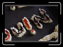 IMG_9810 * 850 x 608 * (230KB)
