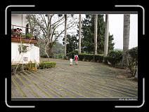 IMG_0039 * 850 x 608 * (250KB)