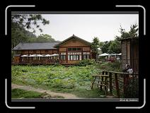 IMG_0079 * 850 x 608 * (248KB)