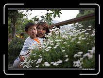 IMG_0088 * 850 x 608 * (230KB)