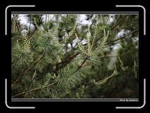 IMG_0092 * 850 x 608 * (237KB)