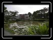 IMG_0103 * 850 x 608 * (239KB)
