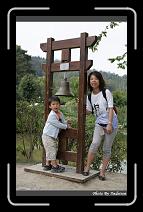 IMG_0117 * 566 x 910 * (249KB)