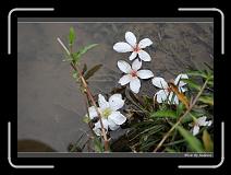 IMG_0170 * 850 x 608 * (227KB)