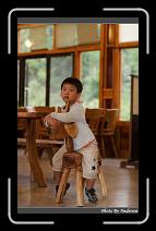 IMG_0210 * 566 x 910 * (232KB)