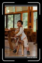 IMG_0211 * 566 x 910 * (234KB)