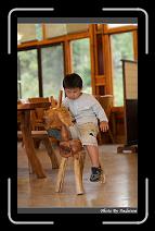 IMG_0212 * 566 x 910 * (241KB)