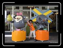 IMG_9910 * 850 x 608 * (241KB)