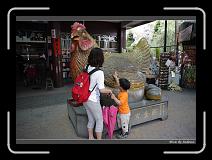 IMG_9945 * 850 x 608 * (248KB)